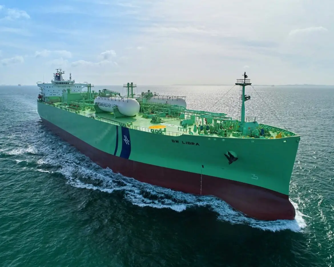 Business executive with maritime background examining portfolio.